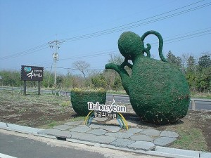 チェジュ島　洞窟カフェ　