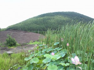 チェジュ島　洞窟カフェ　