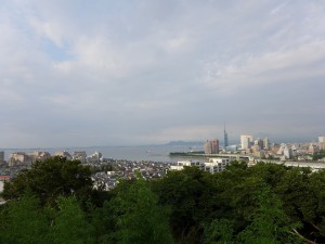 岩井屋　「岩井餅」