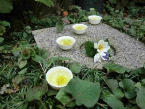 重陽の節句　2014-10 1