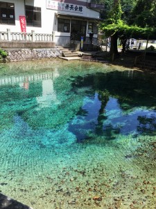 弁天観光ぶどう園　2015-08 1