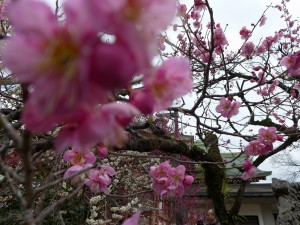 思いでの週末　ホテルグランヴィア京都　