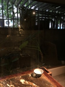 台北　お茶屋さん巡り　2018-05-13