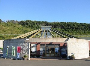 美味しいお取り寄せ　しんや「ほたて燻油漬け」代用
